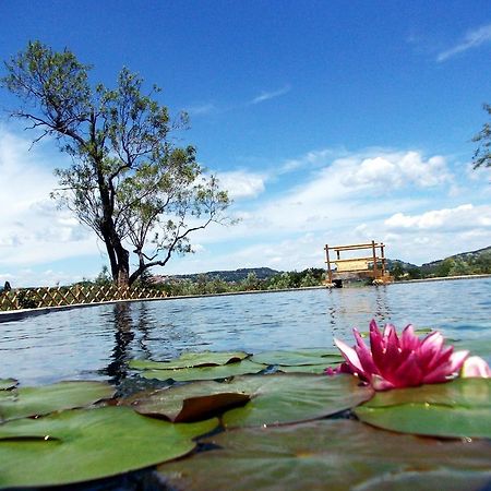 Agriturismo Il Poderino Bibbona Bagian luar foto