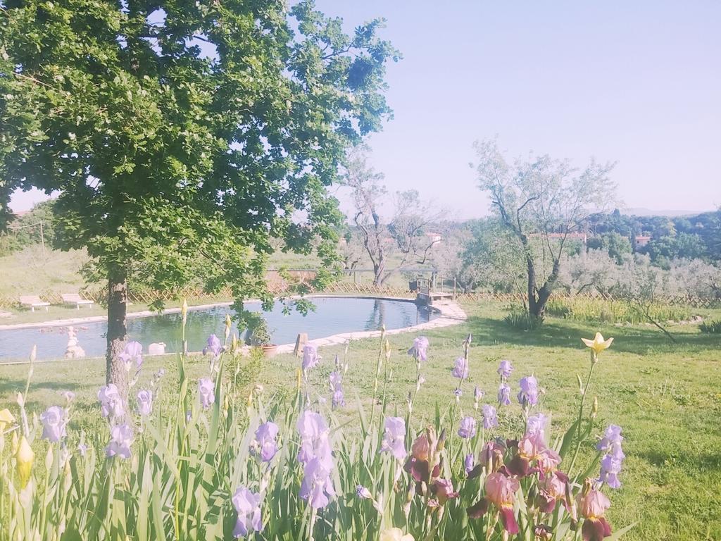 Agriturismo Il Poderino Bibbona Bagian luar foto