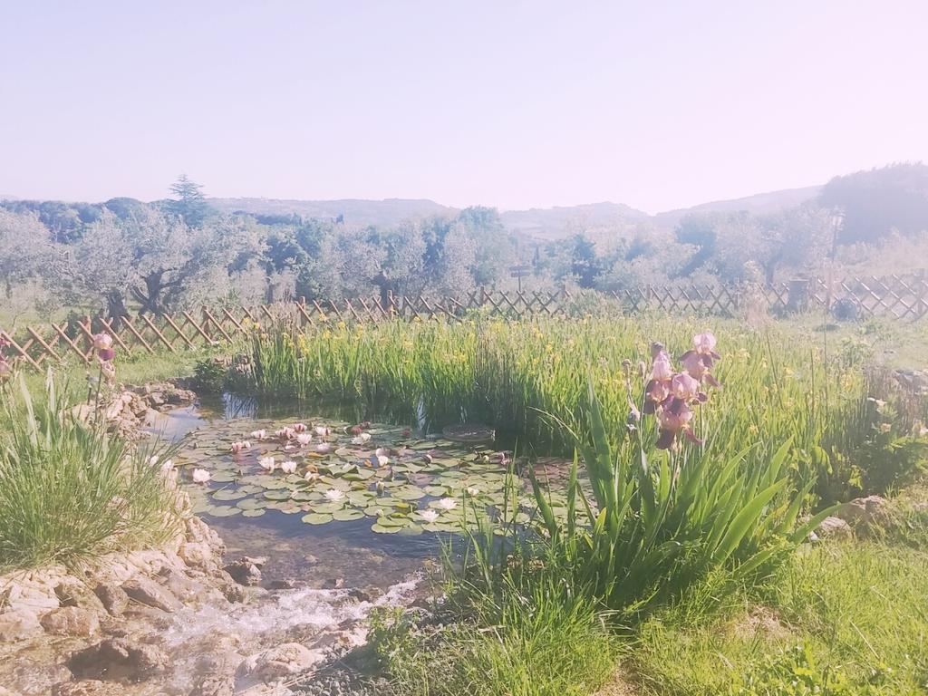 Agriturismo Il Poderino Bibbona Bagian luar foto