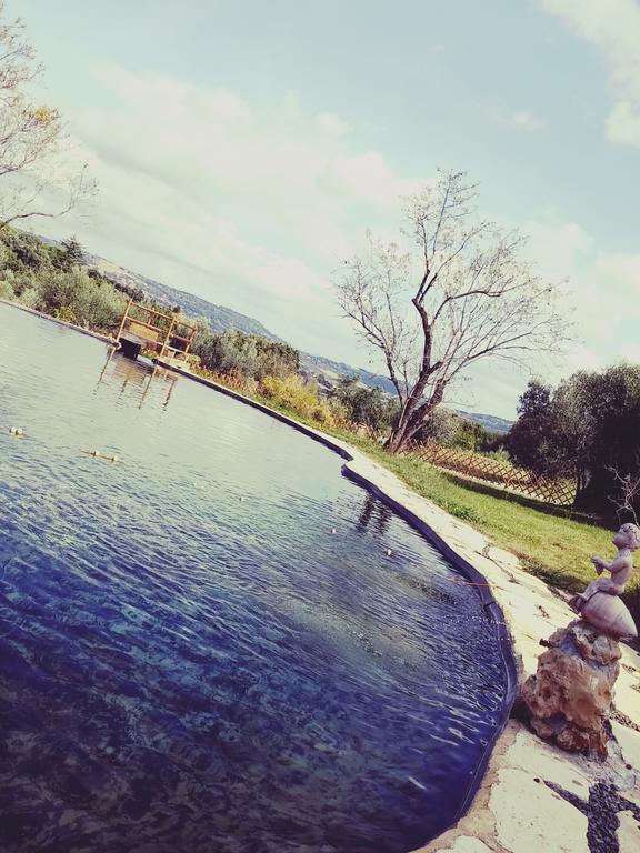 Agriturismo Il Poderino Bibbona Bagian luar foto