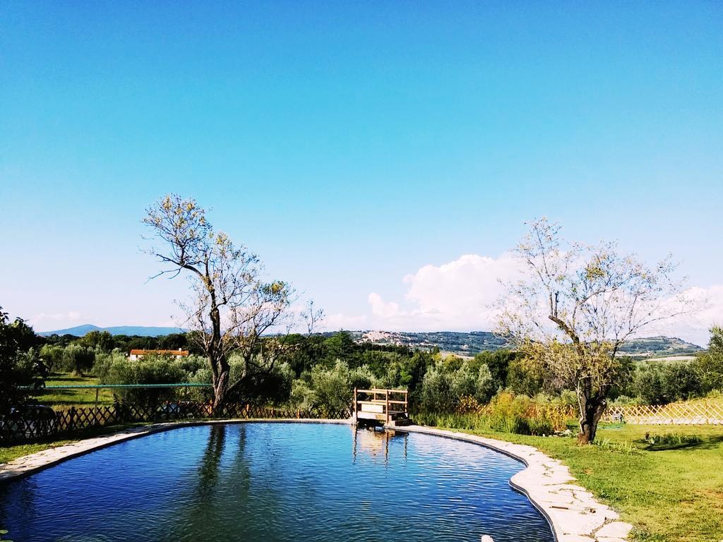 Agriturismo Il Poderino Bibbona Bagian luar foto