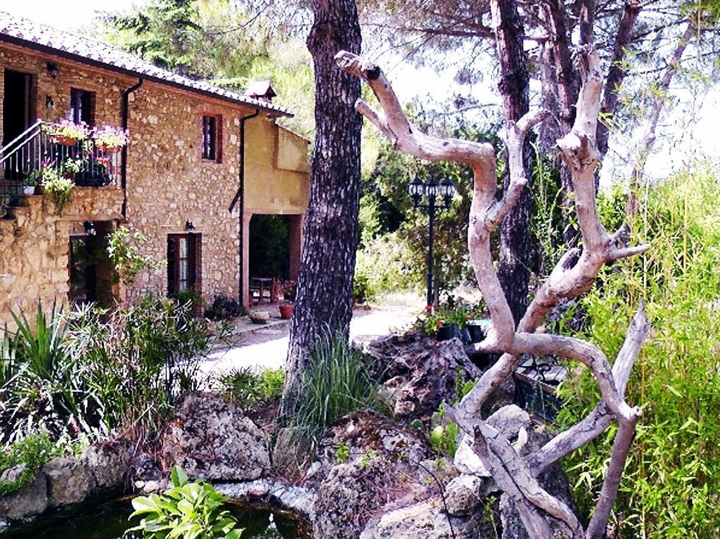 Agriturismo Il Poderino Bibbona Bagian luar foto