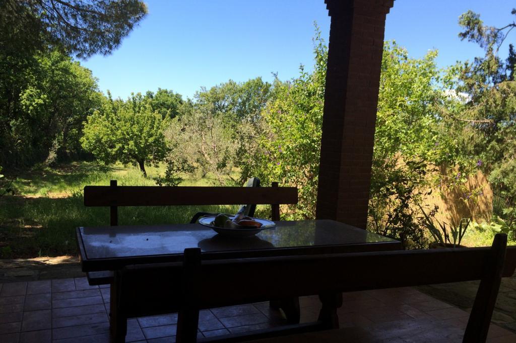 Agriturismo Il Poderino Bibbona Ruang foto