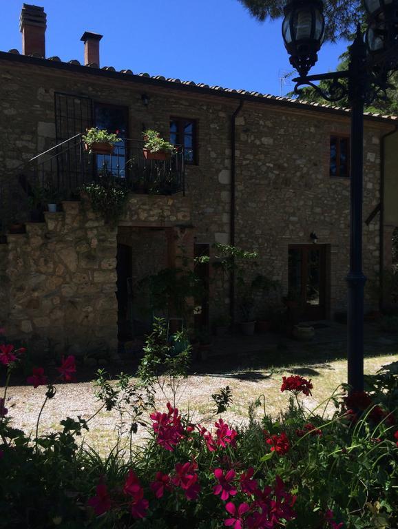 Agriturismo Il Poderino Bibbona Ruang foto