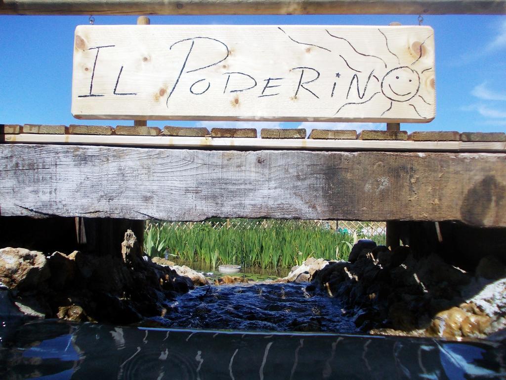 Agriturismo Il Poderino Bibbona Bagian luar foto