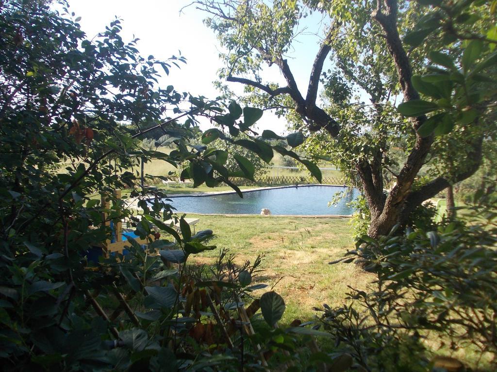 Agriturismo Il Poderino Bibbona Bagian luar foto