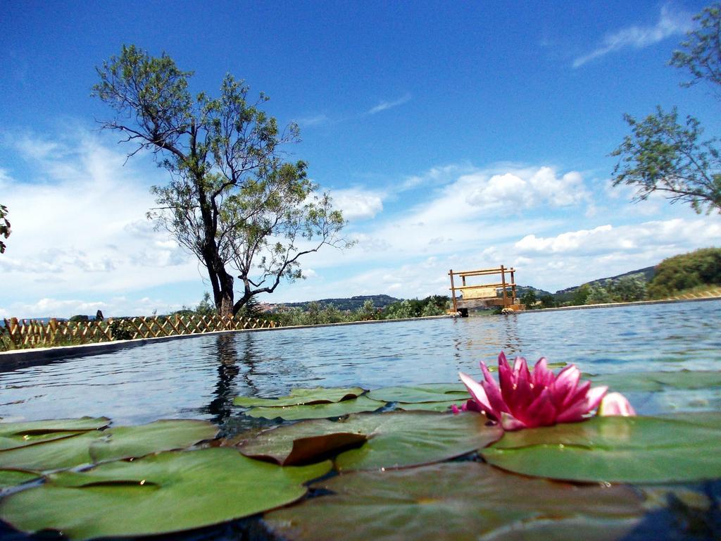 Agriturismo Il Poderino Bibbona Bagian luar foto