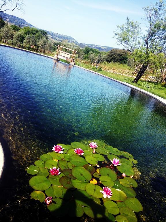 Agriturismo Il Poderino Bibbona Bagian luar foto