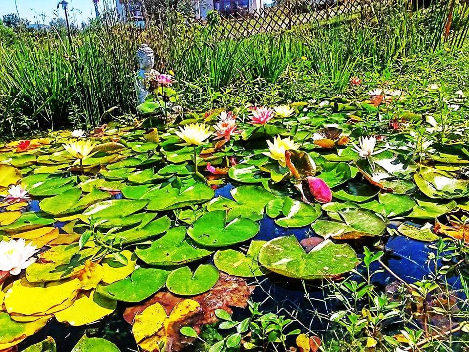 Agriturismo Il Poderino Bibbona Bagian luar foto