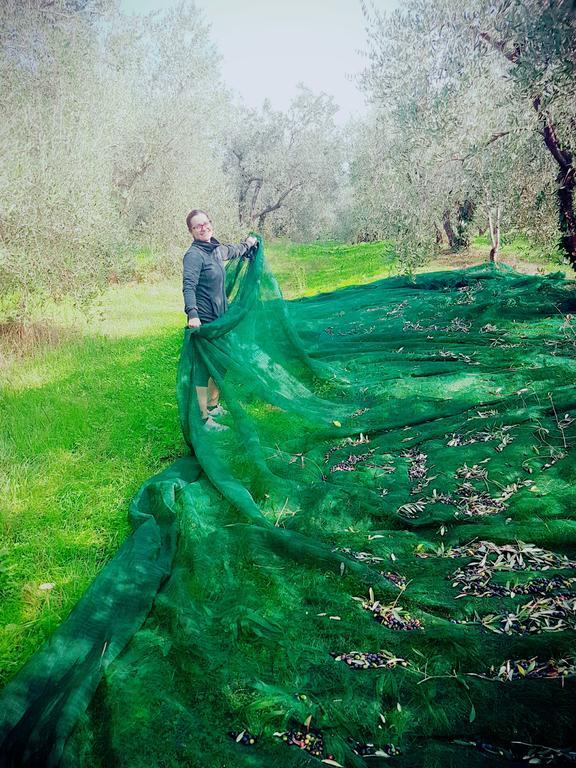 Agriturismo Il Poderino Bibbona Bagian luar foto