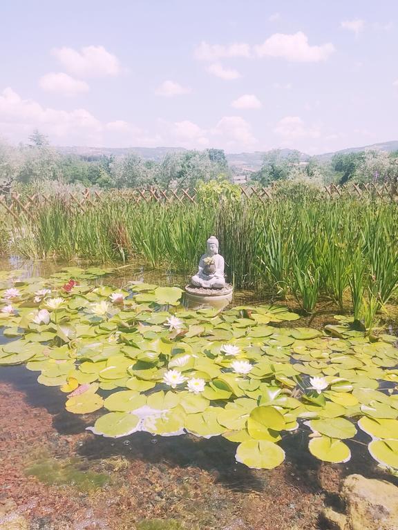 Agriturismo Il Poderino Bibbona Bagian luar foto