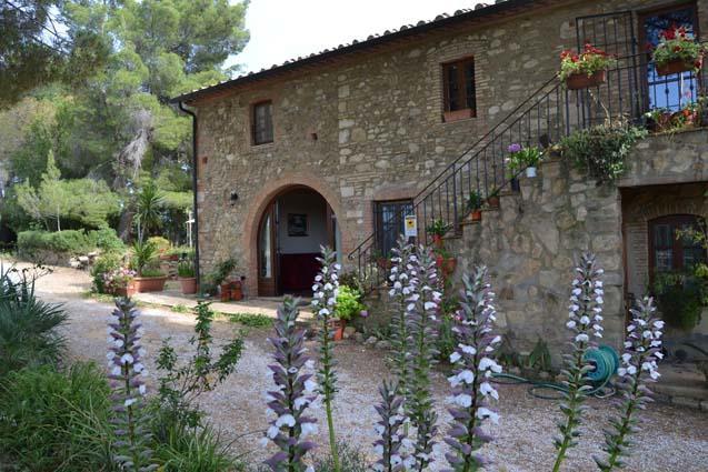 Agriturismo Il Poderino Bibbona Bagian luar foto