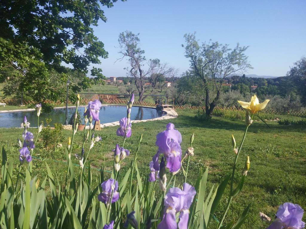 Agriturismo Il Poderino Bibbona Bagian luar foto