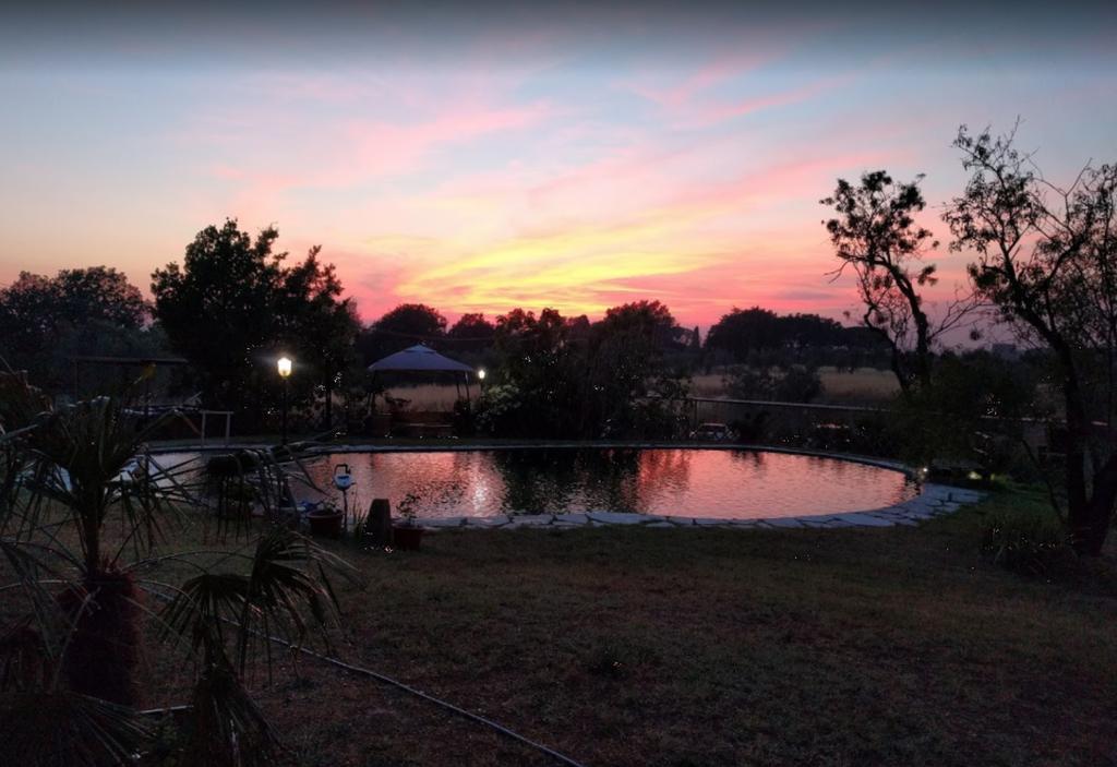 Agriturismo Il Poderino Bibbona Bagian luar foto