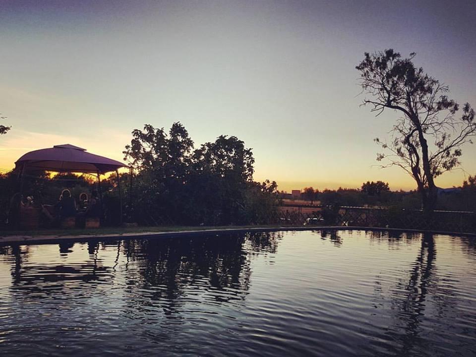 Agriturismo Il Poderino Bibbona Bagian luar foto