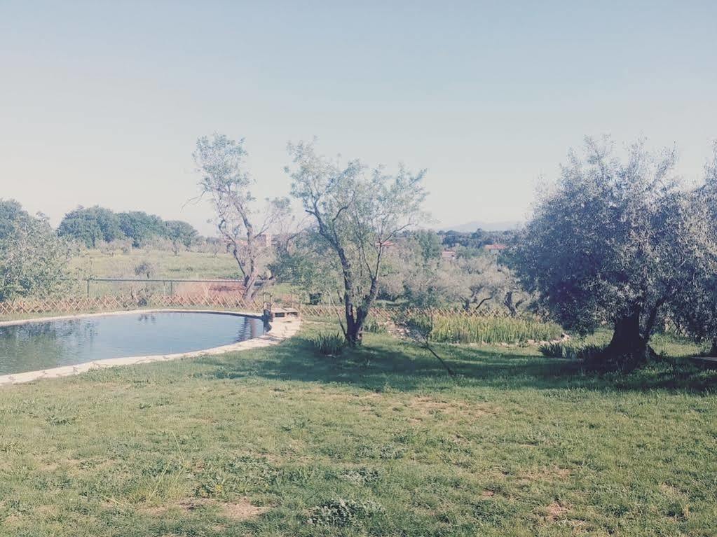 Agriturismo Il Poderino Bibbona Bagian luar foto