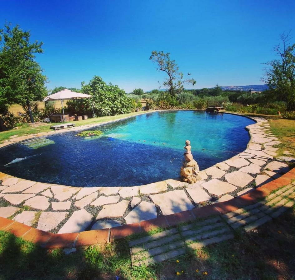 Agriturismo Il Poderino Bibbona Bagian luar foto