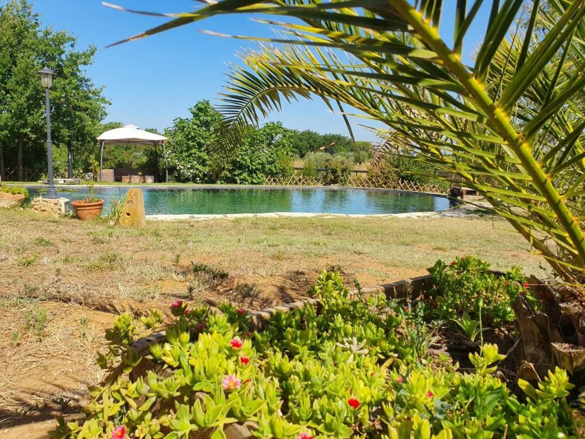 Agriturismo Il Poderino Bibbona Bagian luar foto